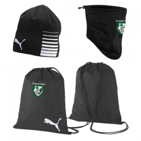 St James Swifts Christmas Pack 2
